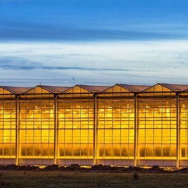 Rückerstattungen Gewährleistete Mehrfachgewächshäuser für den Anbau von Tomaten, Gurken und Salat