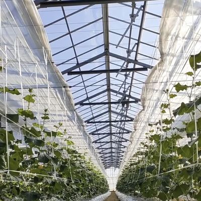 Gewerbliche Gewächshaus-Hydroponik-Systeme Anpassung und Erschwinglichkeit zu einem angemessenen Preis