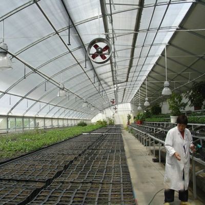 Kontinuierliche Heizung und Tunnelpflanzungsmethode Landwirtschaftliche Kunststofffolie Gewächshaus
