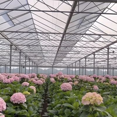 50.00cm * 60.00cm * 80.00cm Paketgröße Glas Gewächshaus Hydroponik Anbausystem