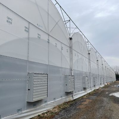 Landwirtschaftliche Mehrspannung Kunststoff-Tunnelfilm-Treibhaus mit Höhen von 3 m bis 8 m
