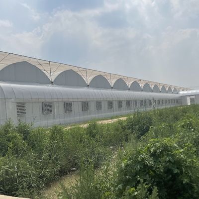 Landwirtschaftliche Mehrspannung Kunststoff-Tunnelfilm-Treibhaus mit Höhen von 3 m bis 8 m