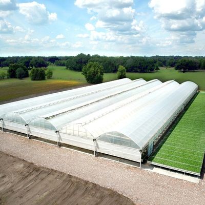 Landwirtschaftliche Mehrspannung Kunststoff-Tunnelfilm-Treibhaus mit Höhen von 3 m bis 8 m