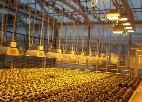 Reguliertes Licht mit Nassvorhang Gewächshaus für 2000.000kg Paketbruttogewicht