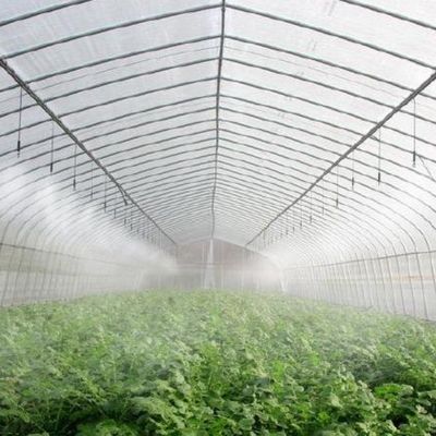 Individuelle Anforderung Produktion Gewächshaus Landwirtschaftliche Multi-Span Kunststoff-Tunnelfilm