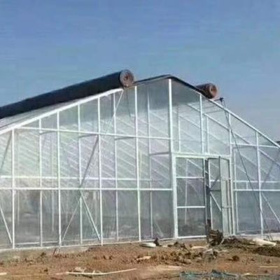 Individuelle Anforderung Produktion Gewächshaus Landwirtschaftliche Multi-Span Kunststoff-Tunnelfilm