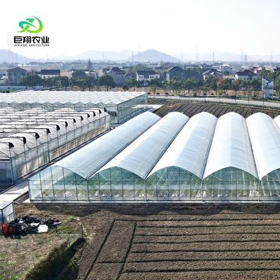 Individuelle Anfrage Landwirtschaftliche Mehrspannung Kunststoff-Tunnelfilm Gewächshaus für die Produktion