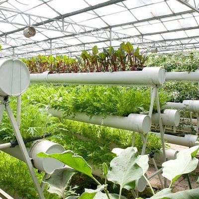Anpassung von Hochleistungs-Gewächshaus-Hydroponiksystemen für kommerzielle Nachhaltigkeit