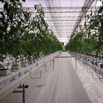 Anpassung von Hochleistungs-Gewächshaus-Hydroponiksystemen für kommerzielle Nachhaltigkeit