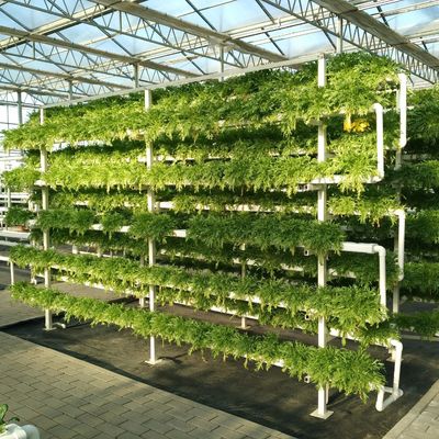 Hydroponisches Wachstum mit mehreren Schattierungen Glas Gewächshaus mit Stahlstruktur und Span