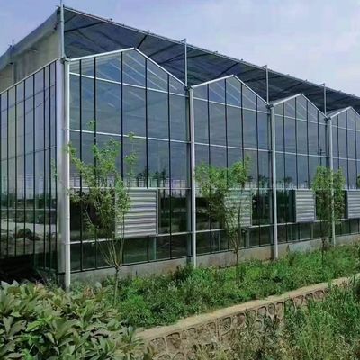 Hydroponisches Wachstum mit mehreren Schattierungen Glas Gewächshaus mit Stahlstruktur und Span