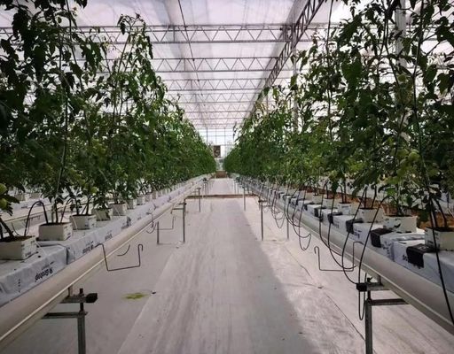 Film Gewächshaus Hydroponisches System Paket Bruttogewicht 2000.000kg individuell angefordert