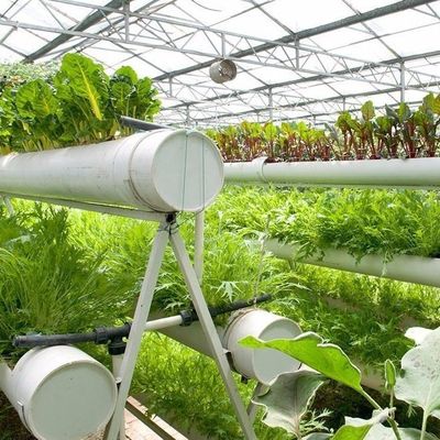 6/9.6/12Meter Anbaumethode Hydroponisches System für Juxiang Film Gewächshaus