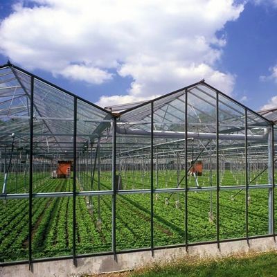 JX-A0064 Großer schwimmender Einlagenglas-Hohlglasgewächshaus für Hydroponik