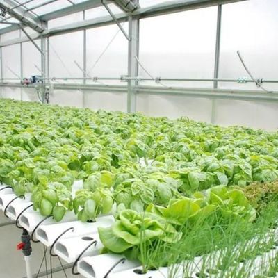 Hydroponisches Klimaschutzsystem Gewächshaus mit temporärer Heizung von Juxiang