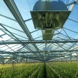 Anti-Tropfen-Nebel-Beleuchtungs-Gewächshaus für den Anbau von Sämlingen