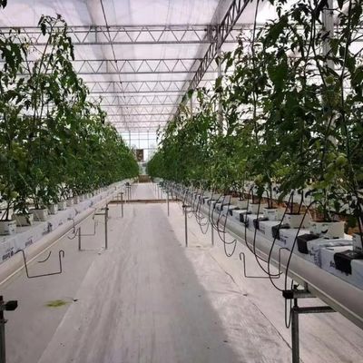 Glasgewächshäuser Hydroponik für den ganzjährigen Anbau erschwingliche Versandkosten