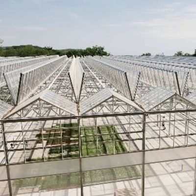 Ein vernünftiges Glasgewächshaus-Hydroponik-System für Großlandwirtschaft