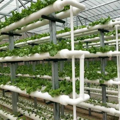 Vorübergehende Heizlösungen für Glas Gewächshaus Abteilung Bodenlosen Anbau