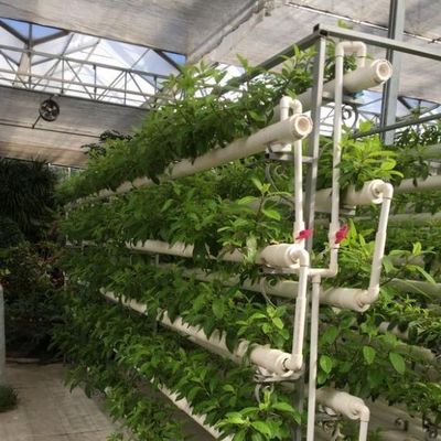 Vorübergehende Heizlösungen für Glas Gewächshaus Abteilung Bodenlosen Anbau