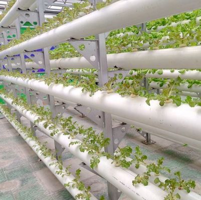 Hydroponisches System für Großbetriebe mit temporärer Heizung