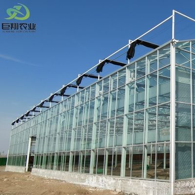 JX-Glas-Gewächshaus maßgeschneiderte Lösung für Tomaten und Blätter Verkauf auf dem heißen Markt