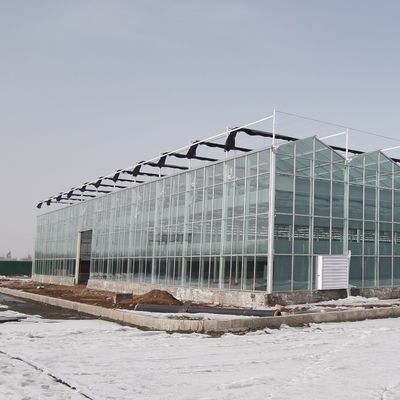 Hydroponik-Gewächshaus mit Klimaanlage und Doppelschichtglas