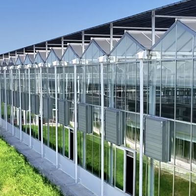 Glasgewächshäuserisches Hydroponisches System für Gemüse und Blumen