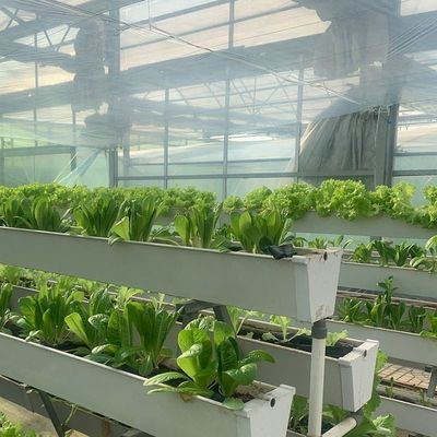 Glasbedeckte Hydroponische Sämlinge Gewächshaus mit Außenschatten und Sprühkühlung