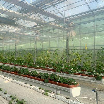 Quadratmeter Hydroponik-Film-Gewächshaus für die ganzjährige Pflanzenproduktion
