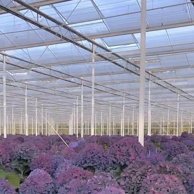 Hot DIP Galvanisiertes Stahlglas Gewächshaus JX-A0082 für den kommerziellen Gewächshausmarkt