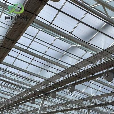 Glasbedecktes Doppelschicht-Gewächshaus für hydroponisches Gemüse/Blume/Frucht/Garten