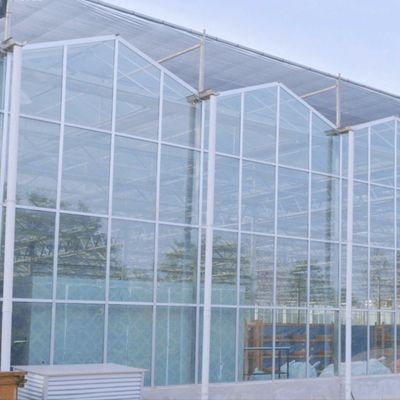 Hydroponik Anbaumethode Landwirtschaft Glas Gewächshaus für Tomaten/Frucht gehärtet