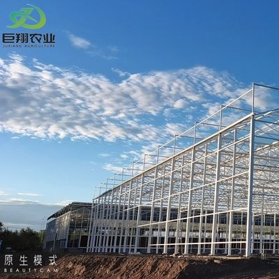 Hydroponik Anbaumethode Landwirtschaft Glas Gewächshaus für Tomaten/Frucht gehärtet
