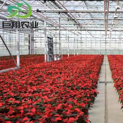 Hydroponik Anbaumethode Landwirtschaft Glas Gewächshaus für Tomaten/Frucht gehärtet