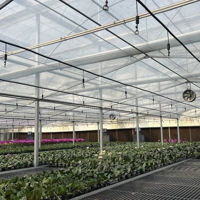 Große und Venlo-Glas-Landwirtschaftliche Gewächshäuser mit automatischem Steuerungssystem
