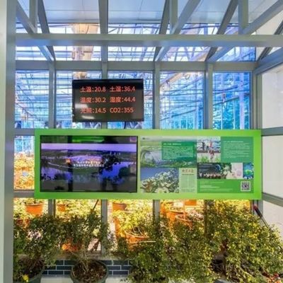 Gewächshaus für die Landwirtschaft