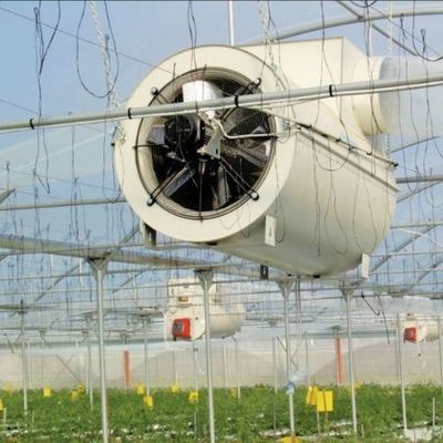 Doppelschicht-Wassersprüher-gesteuertes Beleuchtungsgewächshaus für Pflanzungslösungen