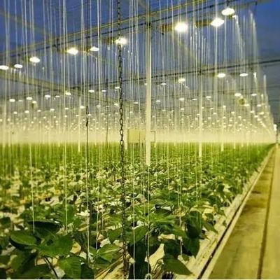 Glasabdeckung JX-GG-12 Schattierte Hydroponische Sämlingsanlage Licht Gewächshaus von Juxiang