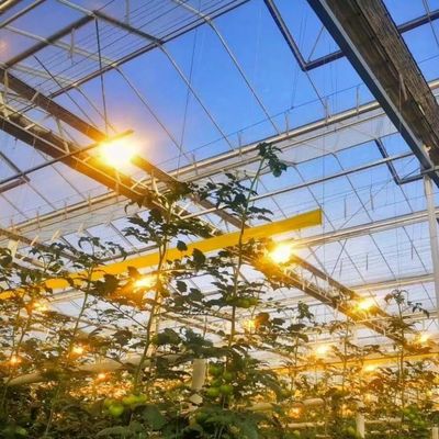 jx-gg-002 Hydroponische Feuchtigkeitsfilme zur Beleuchtung von Sämlingen Gewächshaus und Rückerstattung
