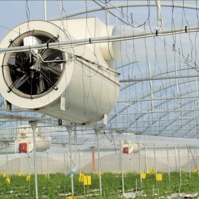 jx-gg-002 Hydroponische Feuchtigkeitsfilme zur Beleuchtung von Sämlingen Gewächshaus und Rückerstattung