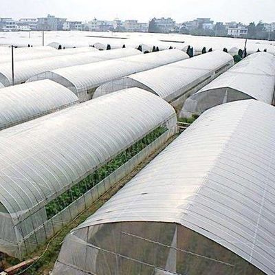 Hydroponische Pflanzenanlage Innenschattierungsfolie Gewächshaus mit Außenschattierung