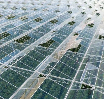 Hydroponik Anbaumethode Gewerbliche Heizung Garten Glas Gewächshaus für Pflanzen