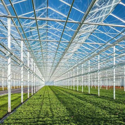 Hydroponik Anbaumethode Gewerbliche Heizung Garten Glas Gewächshaus für Pflanzen