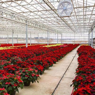 Hydroponik Anbaumethode Gewerbliche Heizung Garten Glas Gewächshaus für Pflanzen