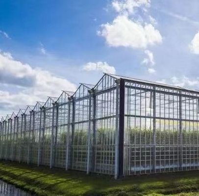 Hydroponik Anbaumethode Gewerbliche Heizung Garten Glas Gewächshaus für Pflanzen