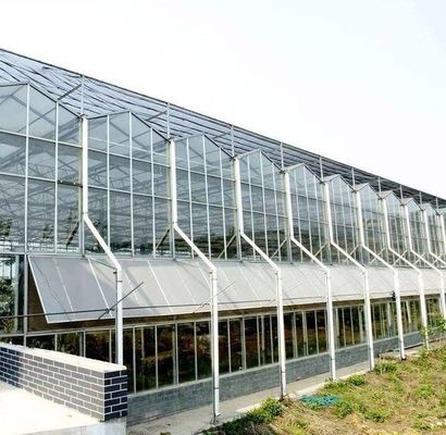 Hydroponik Anbaumethode Gewerbliche Heizung Garten Glas Gewächshaus für Pflanzen