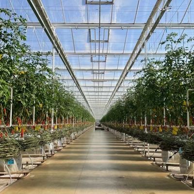 Ju Xiang Glasgewächshaus mit Typdach Versandkosten und geschätzte Lieferzeit