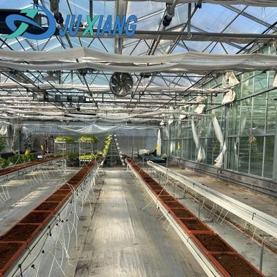 Ju Xiang Glasgewächshaus mit Typdach Versandkosten und geschätzte Lieferzeit