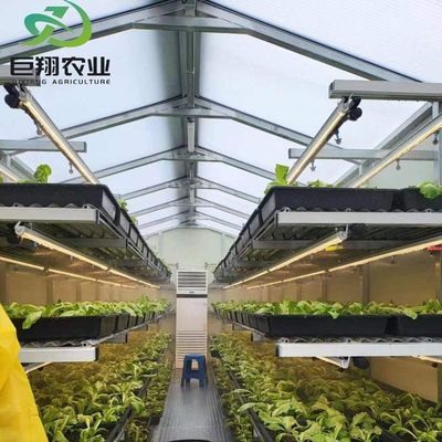 Maßgeschneiderte JX-Glas-Gewächshaus 2023 Juxiang Landwirtschaftliche Ausrüstung mit Kühlsystem